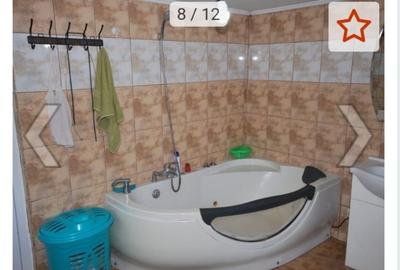 Muntii Carpati, Bucuresti - 6