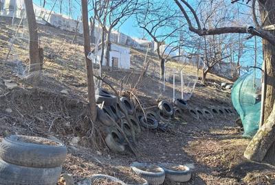 Teren de 2326 mp, în Tarcău - 3