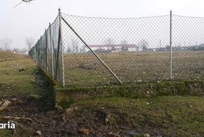 Teren de 15000 mp, în Tinca - 2
