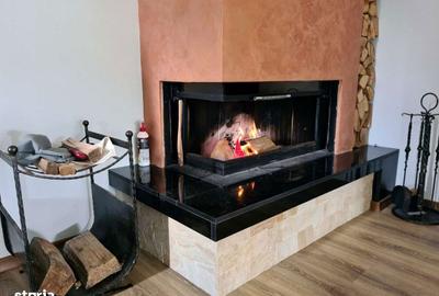 Casă cu 3 camere cu Teren 3000 Mp în Slătioara - 3