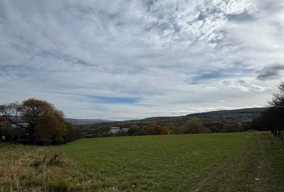 Teren de 8434 mp, în Corușu - 1