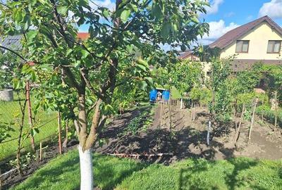 Vanzare casa individuala cu gradina matura Campenesti Apahida, Cluj-Napoca - 9
