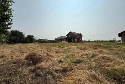 Inchiriem viitorul pe metru patrat, teren 800 mp, intravilan-Peciu Nou - 3