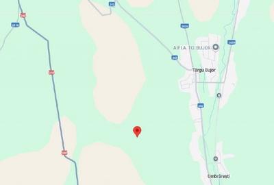 Teren de 5000 mp, în Vârlezi - 8