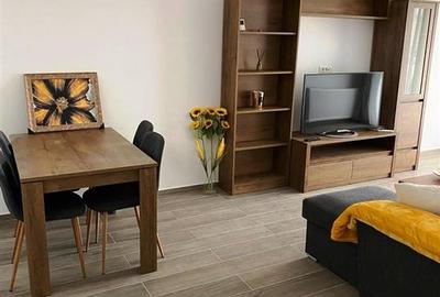 Apartament cu 2 camere decomandat, mobilat în Albert - 2