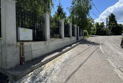 Spațiu comercial, în Bucium