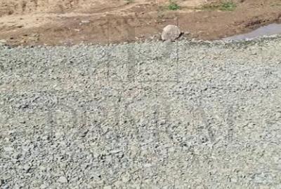 Teren intravilan de 756 mp, în Moșnița Nouă - 3