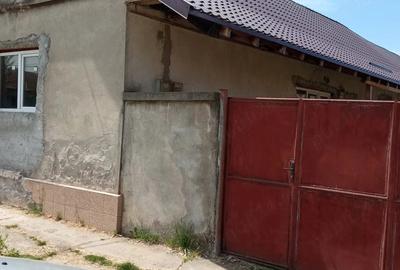 Casă cu 3 camere cu Teren 1440 Mp în Zăbrani - 5