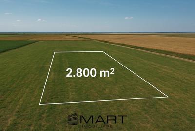 Teren agricol extravilan de 2800 mp, în Daia Română - 1