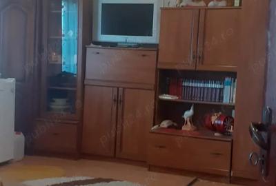 Casa cu curte mare ?i vie pe spalieri - 5