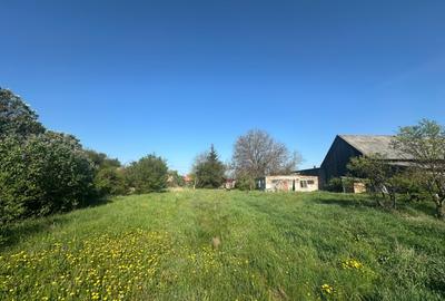 Casa Individuala Ozun Covasna teren 3200 mp - 12