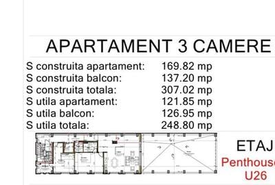 Penthouse cu 3 camere decomandat în Viilor - 2