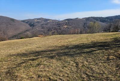 Spațiu comercial, în Damiș - 2