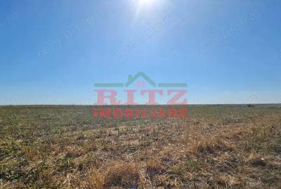 Teren de 56800 mp, în Fărcașele - 14