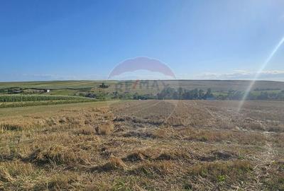 Teren intravilan, 7500 mp in Moara Carp / Strada Eternita... - 4