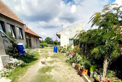 Vand casa Zadareni,jude?ul Arad - 2