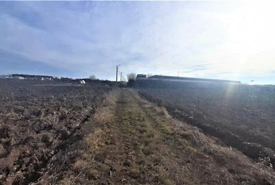 Otopeni - Strada Alexandru Ioan Cuza - 3