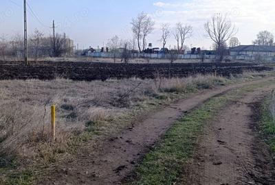Teren de 1700 mp, în Nanov - 6