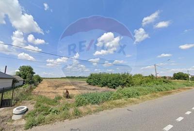 Teren Construcții intravilan de 19100 mp, în Secuienii Noi - 4