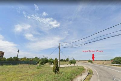 122 ari in Turnu, front 60 m la DN 7B, 15 km de Arad, 1 km d - 5