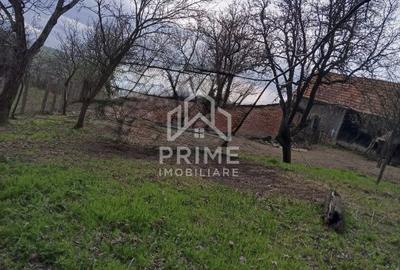 Casă cu 4 camere cu Teren 1708 Mp în Berghin - 1