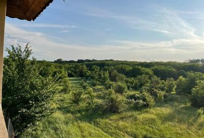 Vila Lux Dragomiresti vale cu mutare rapida 2000mp curte Vila Lux Dragomiresti vale cu mutare rapida 2000mp curte - 1