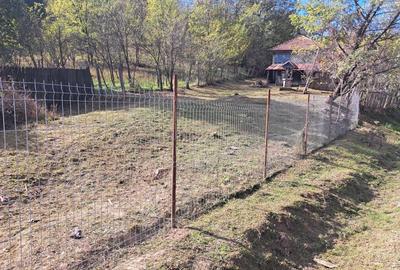 Casa batraneasca - 4