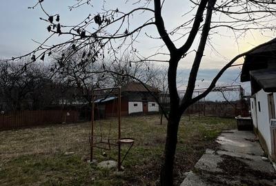 Casă cu 2 camere cu Teren 4000 Mp în Ulmi - 6