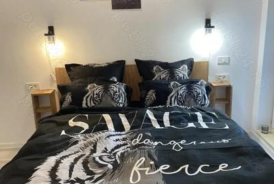 Apartament cu 2 camere semidecomandat în Parcul Carol - 3