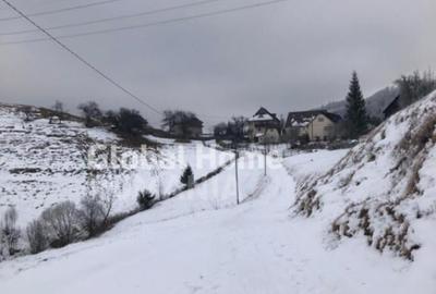 Teren de 725 mp, în Moieciu - 1