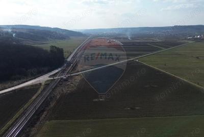 Teren de 19319 mp, în Hoghilag - 8