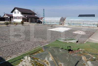 Teren Construcții extravilan de 600 mp, în Cernele - 1