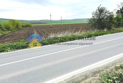 Teren agricol intravilan de 4500 mp, în Nord-Vest