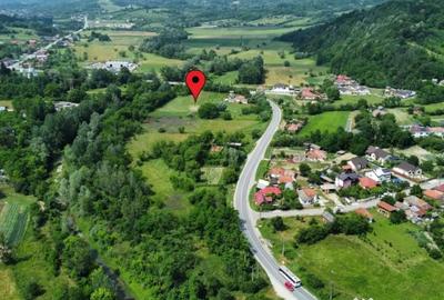 Teren de 10176 mp, în Mihăești - 3