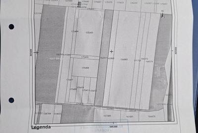 Teren intravilan industrial,str.Durau - 17