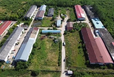 Spatiu industrial de 120mp de inchiriat in zona Exterior Sud - 5