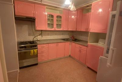 Apartament cu 3 camere în Șagului