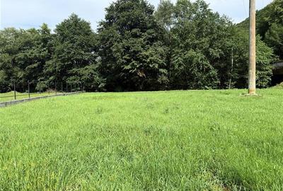 Teren intravilan de 1351 mp, în Someșu Rece - 5