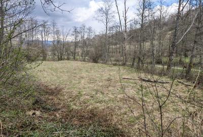 Teren de 6855 mp, în Exterior Vest - 9