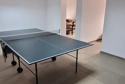 Vand vila Sf Ilie , Scheia Suceava - 10