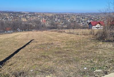 Spațiu comercial, în Cacica - 3