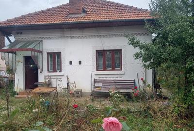 Casa Campulung - 7