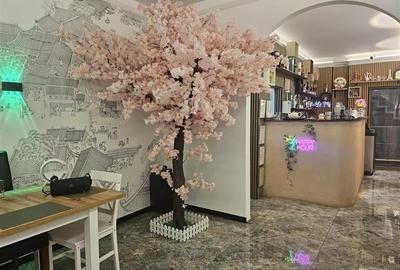 Vanzare afacere la cheie restaurant complet utilat - 1