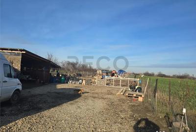 Casă cu 2 camere cu Teren 2489 Mp în Homorog - 1