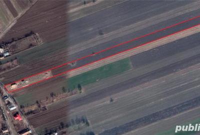 Teren de 7000 mp, în Braniștea - 2