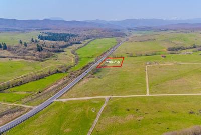 Teren 7786 mp/Curți construcții/Benzinărie - 8