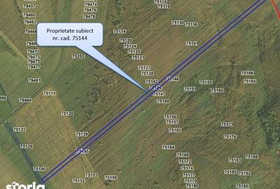 Teren de 24200 mp, în Muntenii de Jos - 1