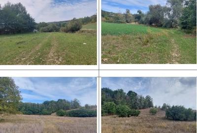 Teren de 2000 mp, în Filipeni - 2