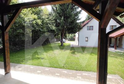 Vila de poveste din Valea Avrigului de vanzare - 26