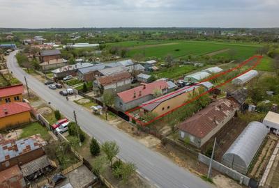 TANTAVA - GRADINARI, CASA 70 MP, LOT - 1557 MP! - 40